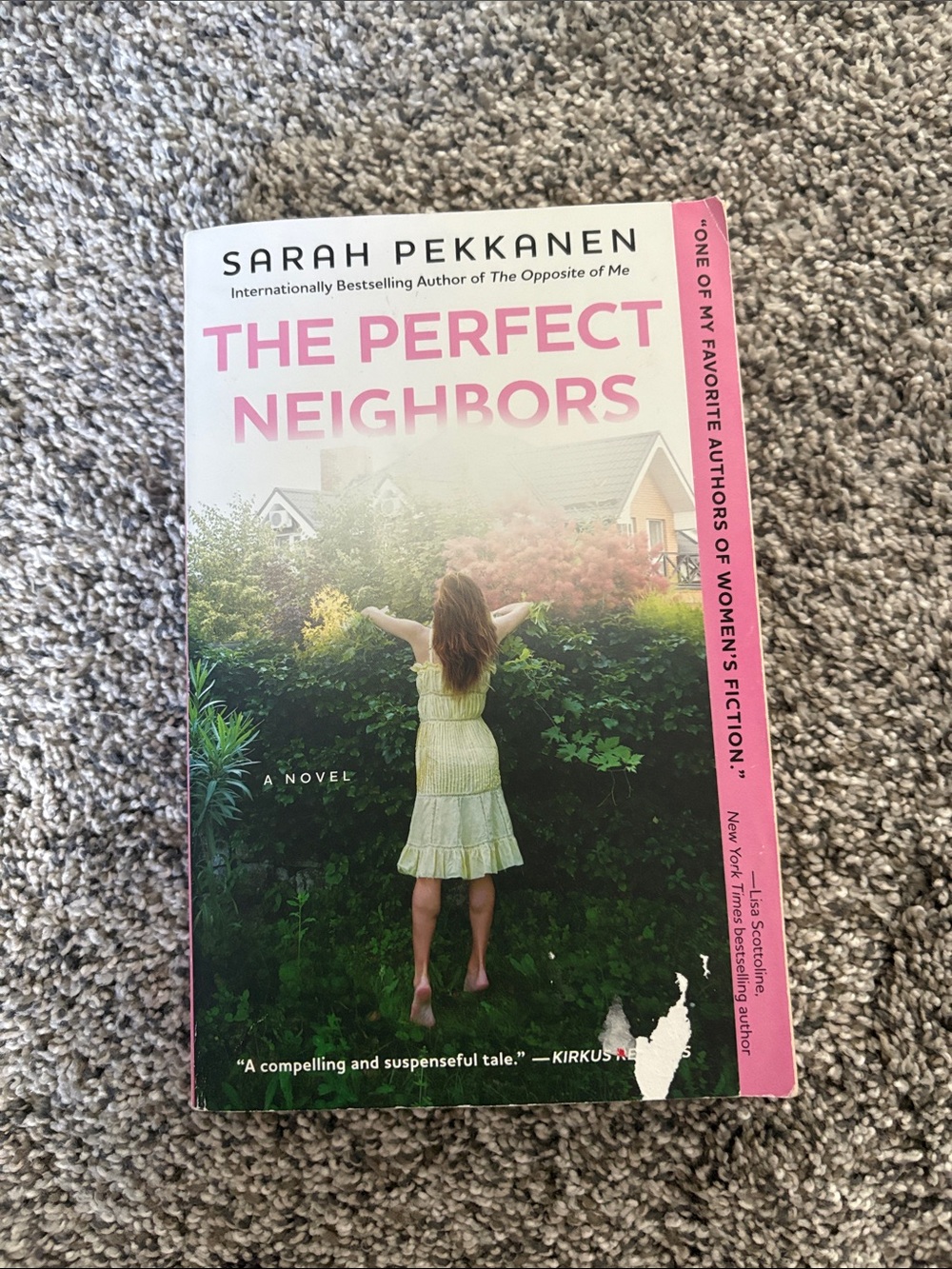 “The Perfect Neighbors” - Novel